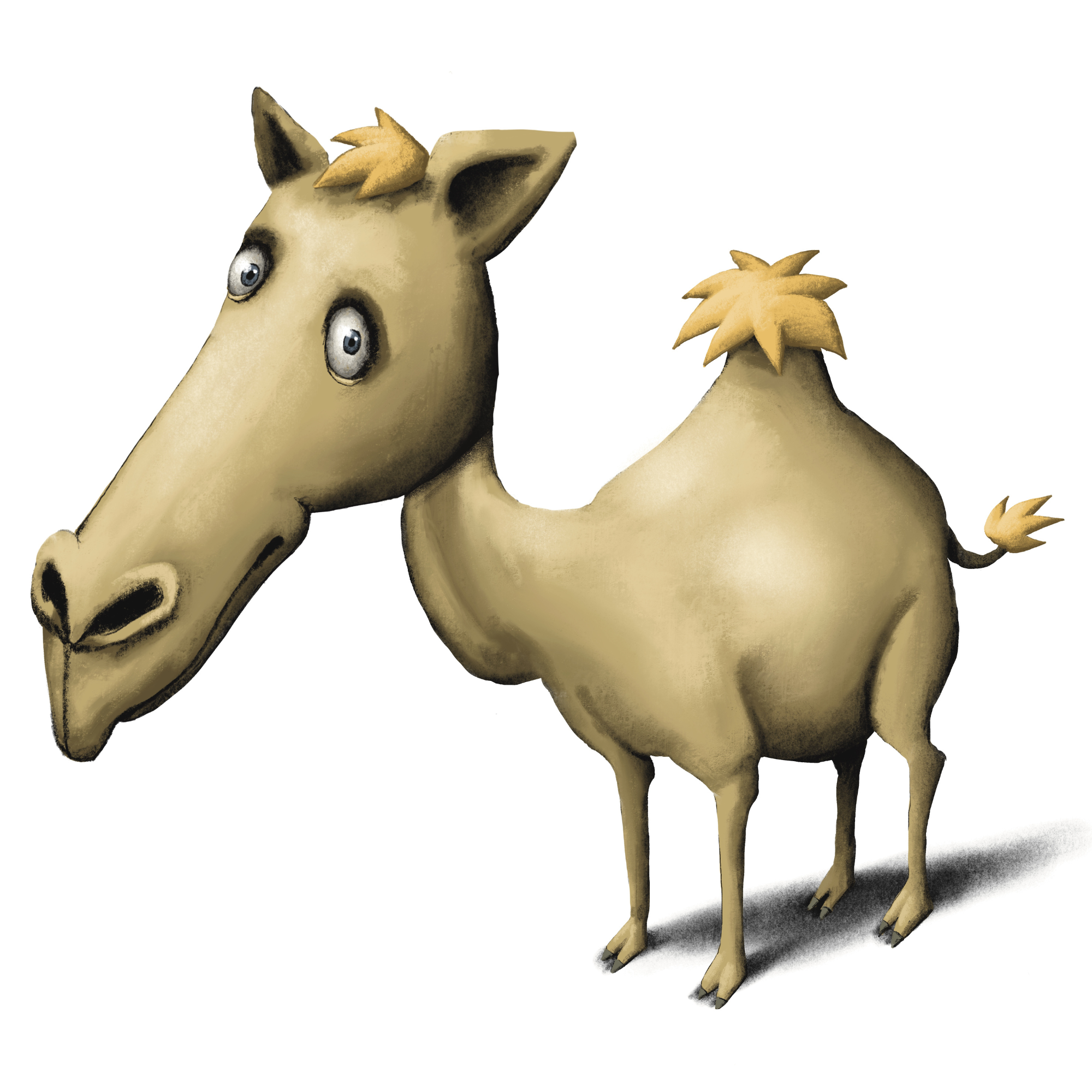 D comme Dromadaire - D for Dromedary