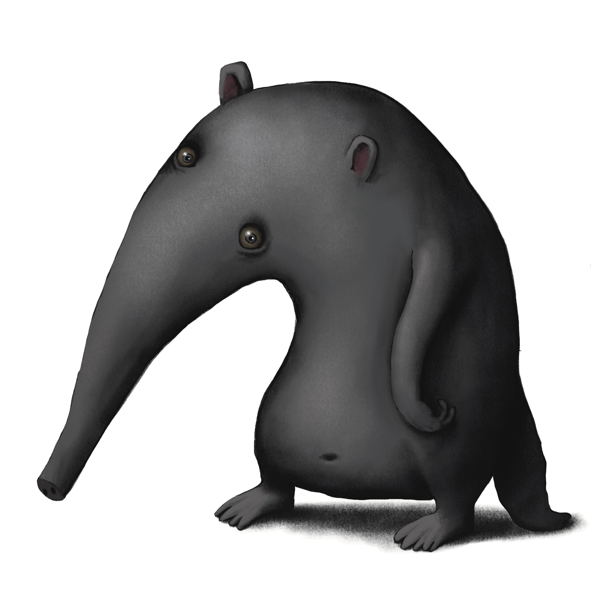 F comme Fourmilier - A for Anteater