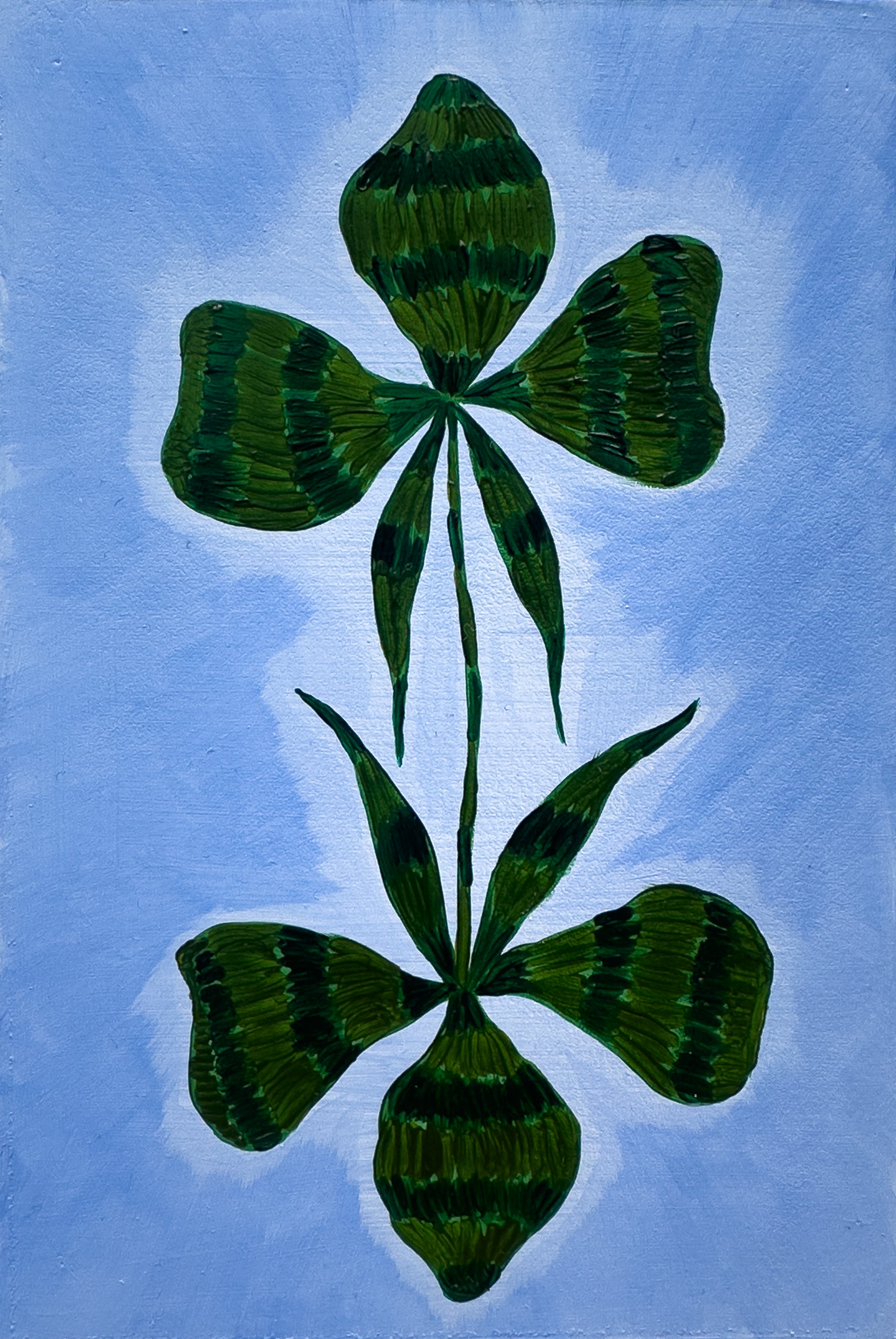 Twinned Clover