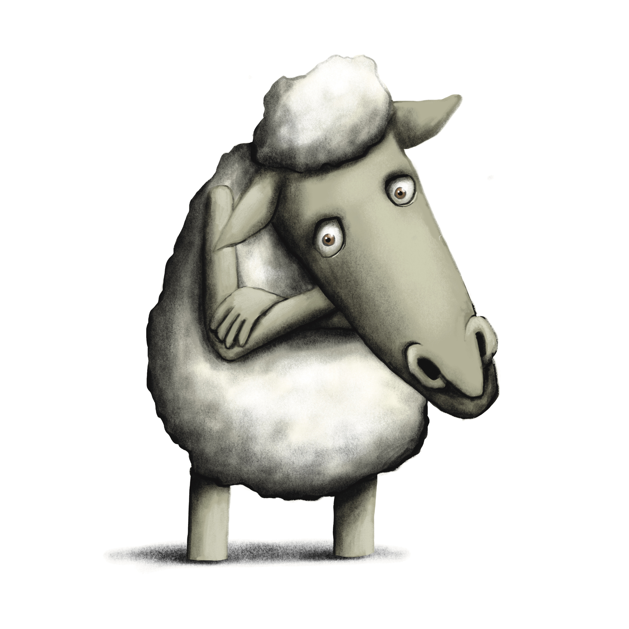 M comme Mouton - S for Sheep